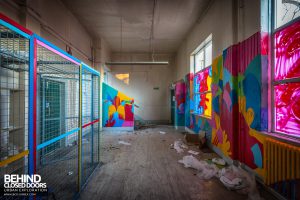 Holly Lodge, Liverpool - Bright coloured room