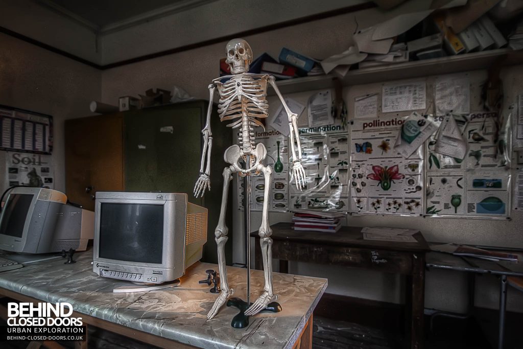 Jameah Islameah School - "Little Boner" Skeleton