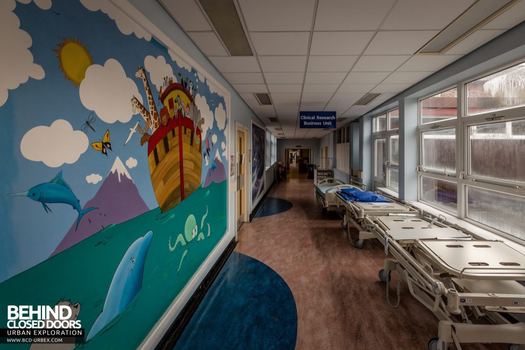 Alder Hey Children's Hospital - Murals painted on walls