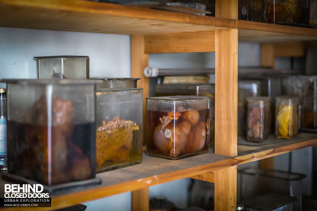 Twin Morgue, Belgium - Shelves full of jars