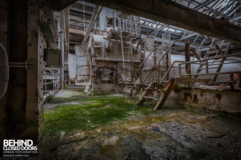 Winnington Soda Ash Works - Nature and decay taking over