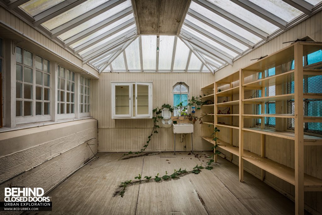 Sunnyside Asylum, Montrose - Nature creeping in to a conservatory