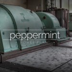 Peppermint Power Plant, Germany