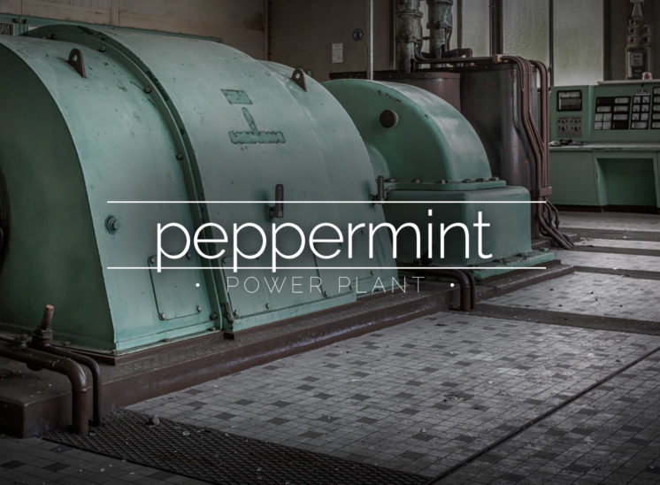 Peppermint Power Plant, Germany